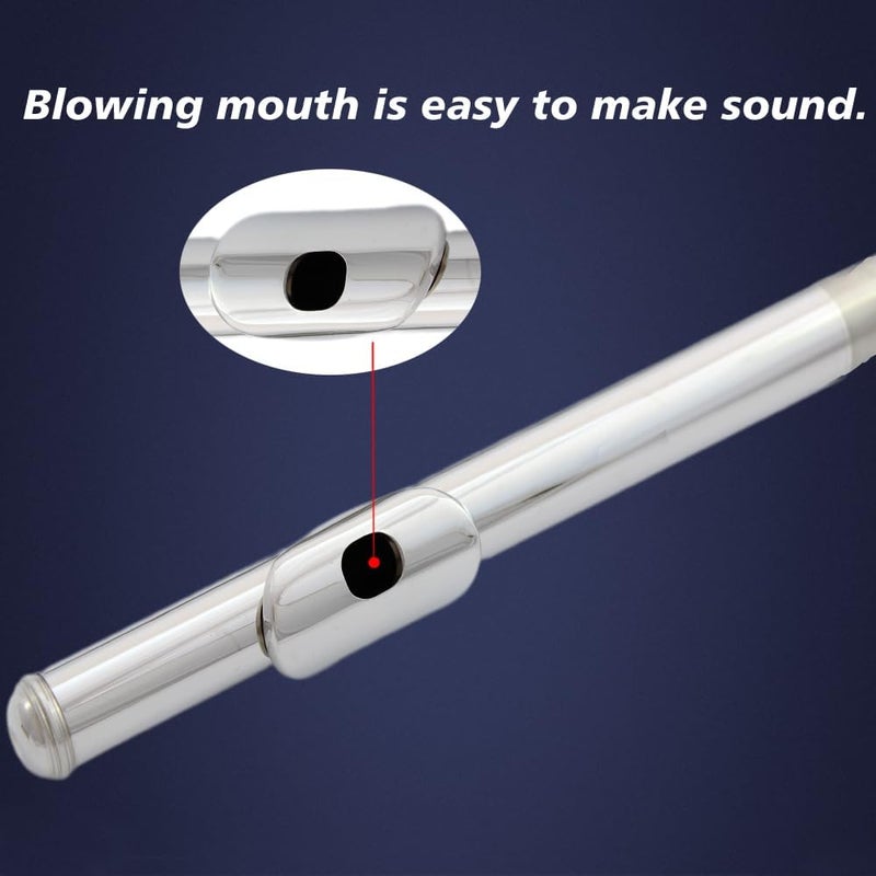 HOGSN flute 16-hole closed-hole C-tone nickel-plated, beginner to play graded flute, with box and cleaning kit. - Image 4